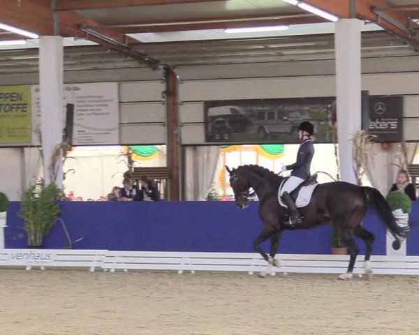 Reitturnier Isterberg 2018