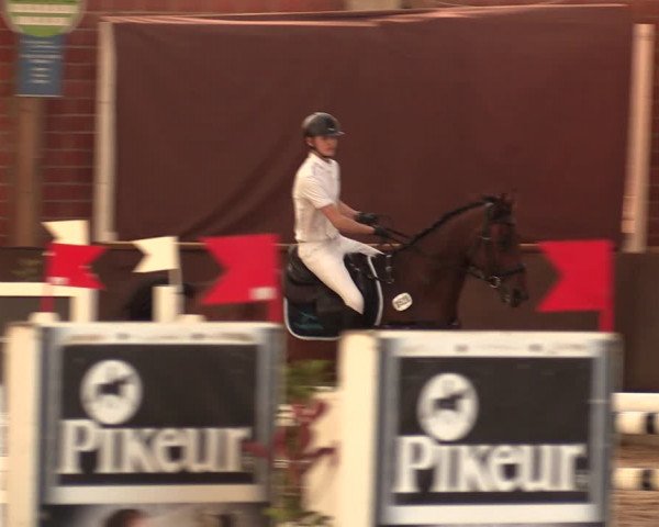 Reitturnier Hüllhorst 2018