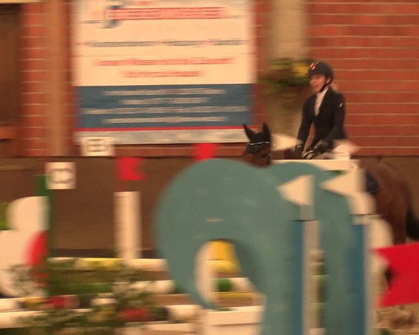Reitturnier Hüllhorst 2018