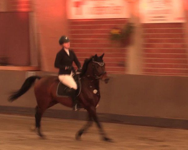Reitturnier Hüllhorst 2018