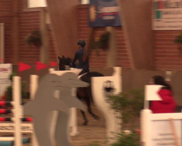 Reitturnier Hüllhorst 2018
