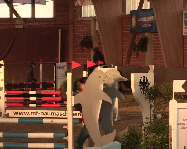 Reitturnier Hüllhorst 2018