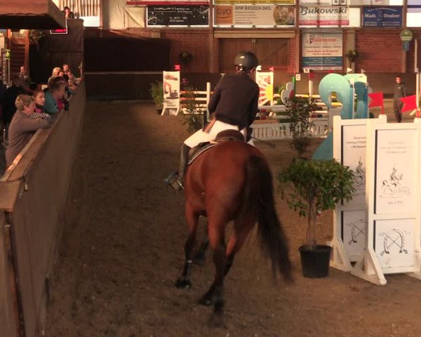 Reitturnier Hüllhorst 2018