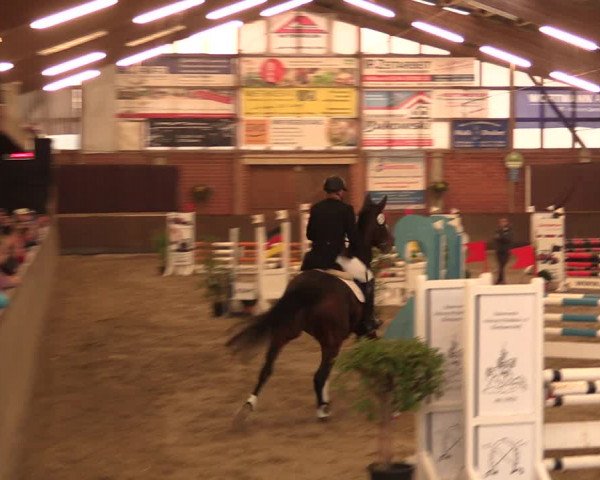 Reitturnier Hüllhorst 2018