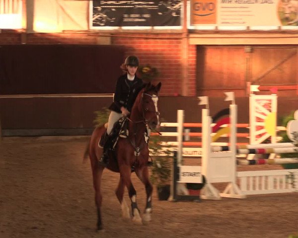 Reitturnier Hüllhorst 2018