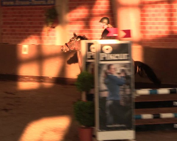 Reitturnier Hüllhorst 2018