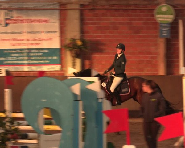 Reitturnier Hüllhorst 2018