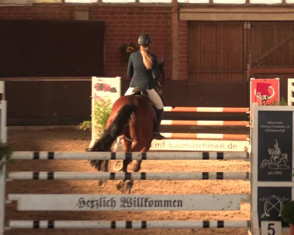 Reitturnier Hüllhorst 2018