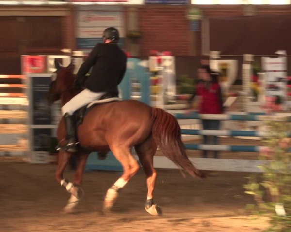 Reitturnier Hüllhorst 2018