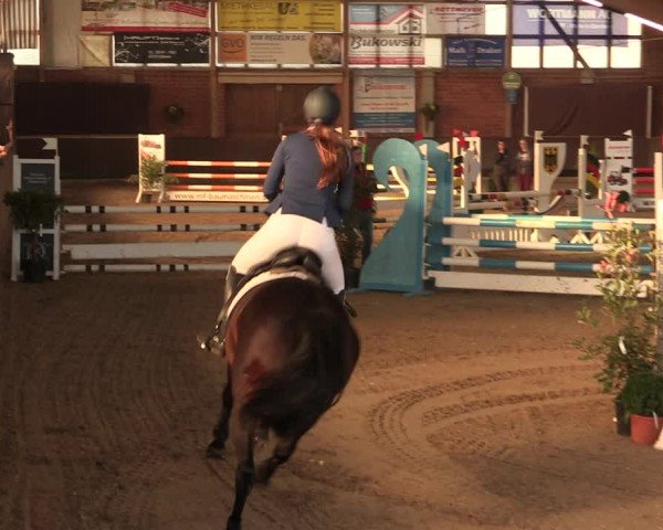 Reitturnier Hüllhorst 2018