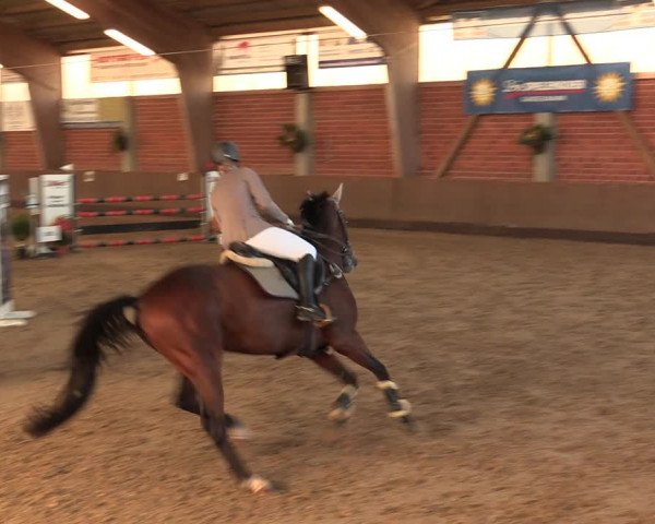 Reitturnier Hüllhorst 2018