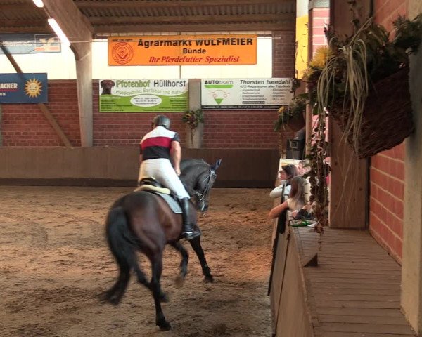 Reitturnier Hüllhorst 2018