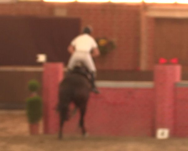 Reitturnier Hüllhorst 2018