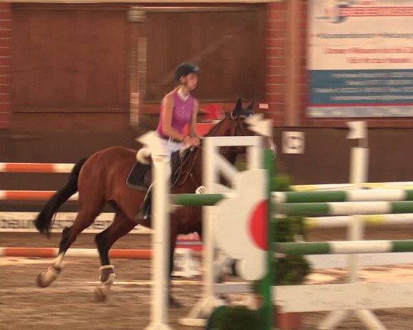 Reitturnier Hüllhorst 2018