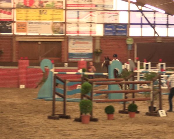 Reitturnier Hüllhorst 2018