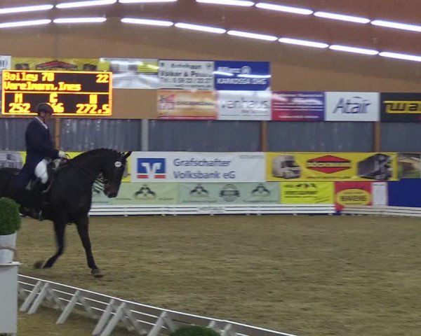 Reitturnier Isterberg 2018