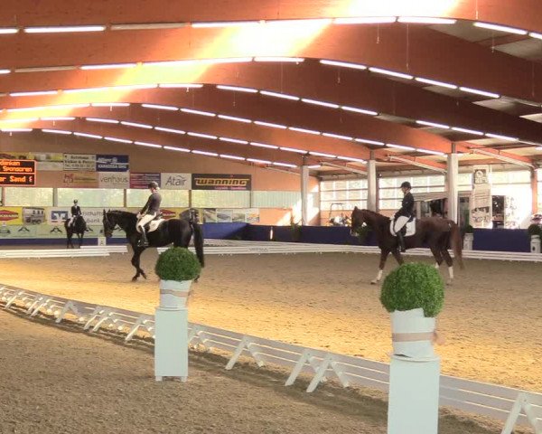 Reitturnier Isterberg 2018