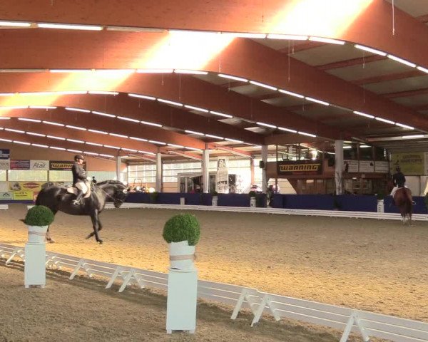 Reitturnier Isterberg 2018