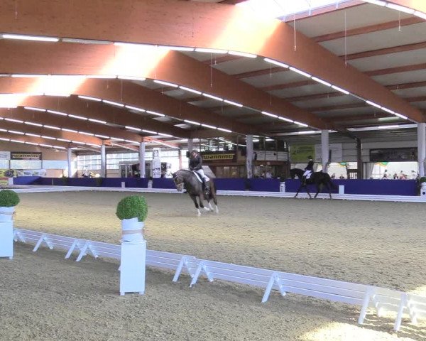 Reitturnier Isterberg 2018