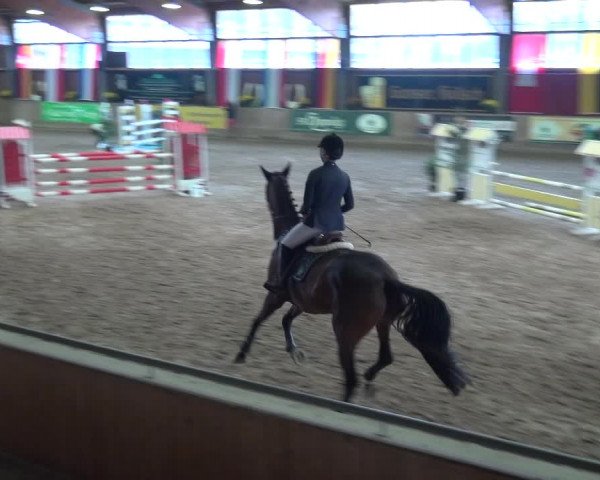 Reitturnier Köln-Leverkusen 2018