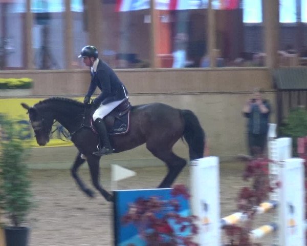 Reitturnier Köln-Leverkusen 2018