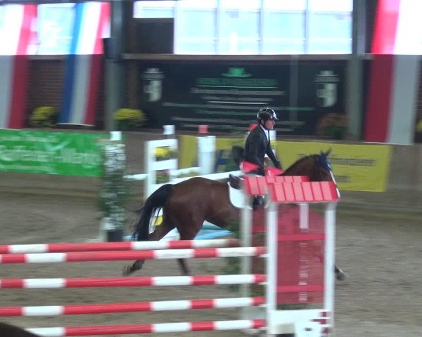 Reitturnier Köln-Leverkusen 2018