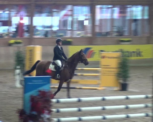 Reitturnier Köln-Leverkusen 2018