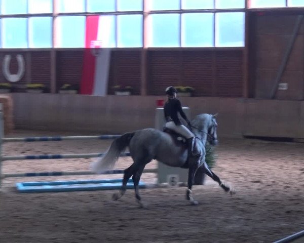 Reitturnier Köln-Leverkusen 2018