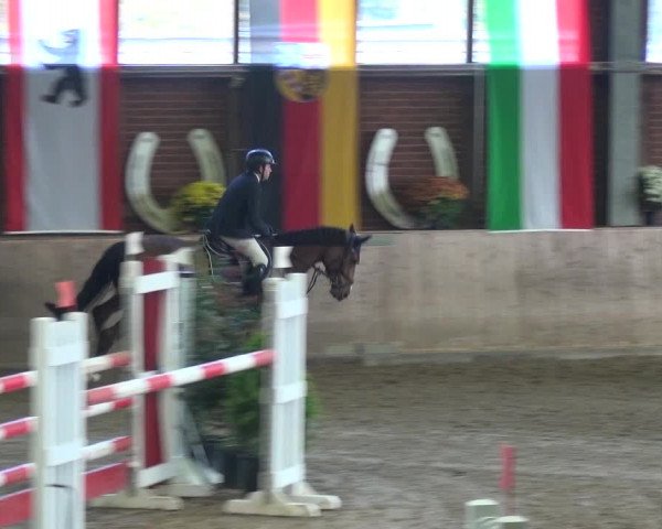 Reitturnier Köln-Leverkusen 2018