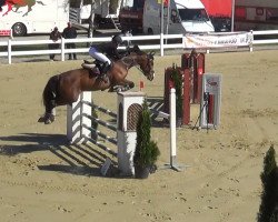 broodmare Penelope B (Württemberger, 2009, from Lordanos)