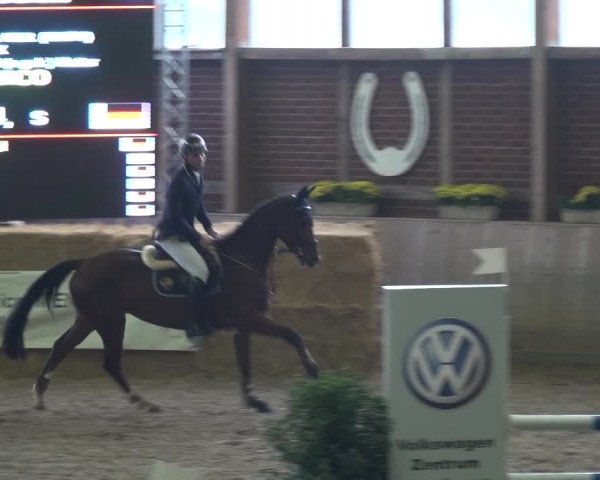 Reitturnier Köln-Leverkusen 2018