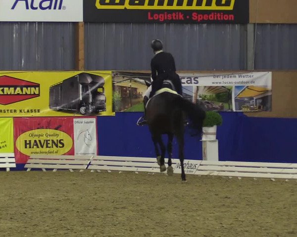 Reitturnier Isterberg 2018
