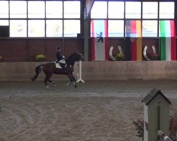 Reitturnier Köln-Leverkusen 2018