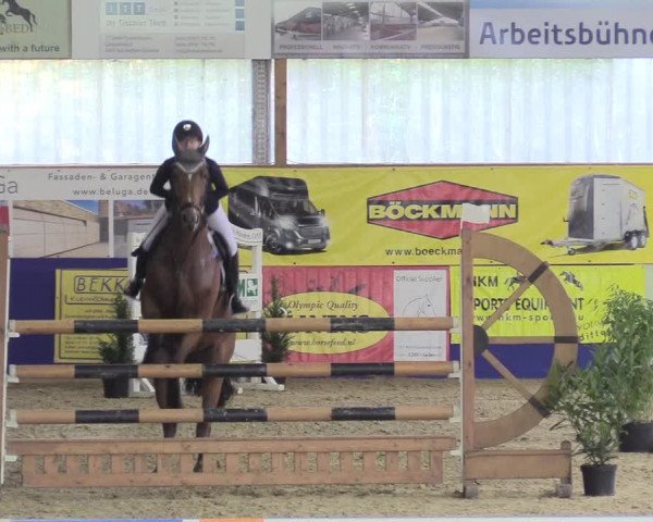 Reitturnier Isterberg 2018