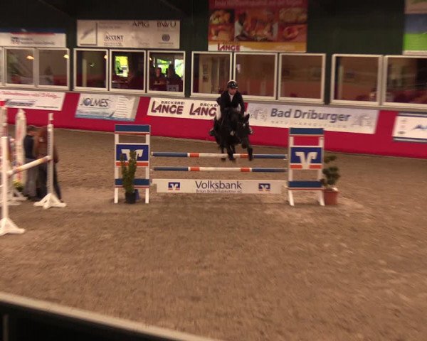 Salzkottener Pferdefestival 2018