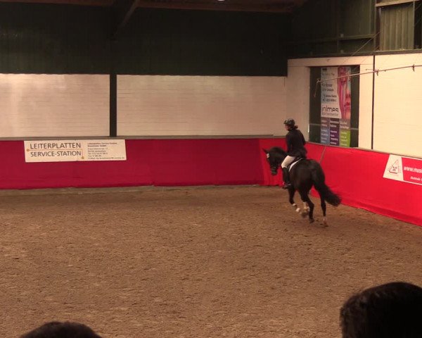 Salzkottener Pferdefestival 2018