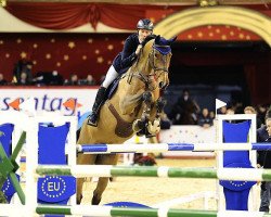 jumper Axl-Rose (Belgian Warmblood, 2000, from Ti Amo van het Lambroeck)