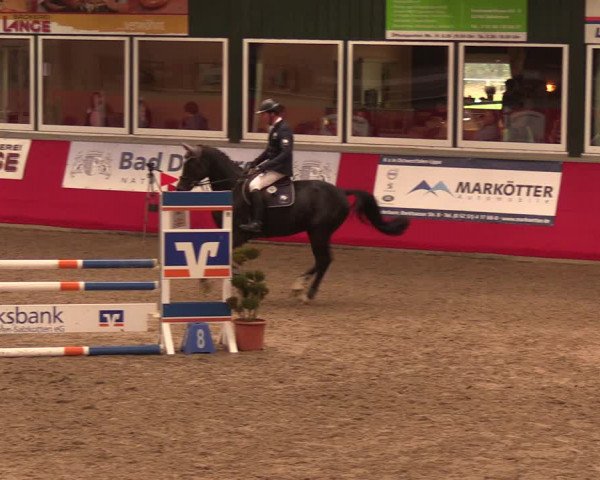 Salzkottener Pferdefestival 2018