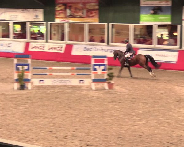 Salzkottener Pferdefestival 2018