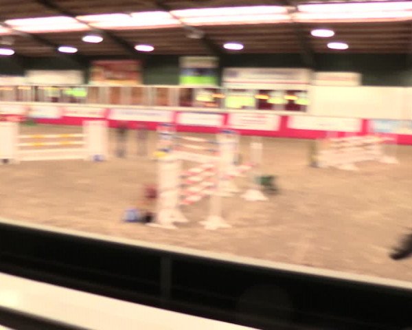 Salzkottener Pferdefestival 2018