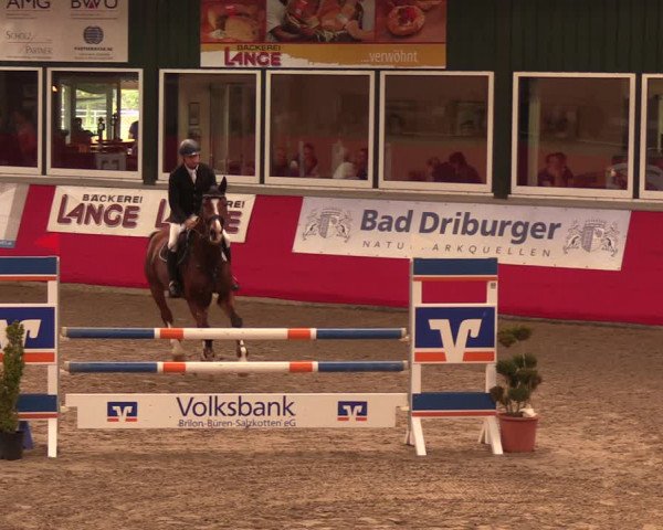 Salzkottener Pferdefestival 2018