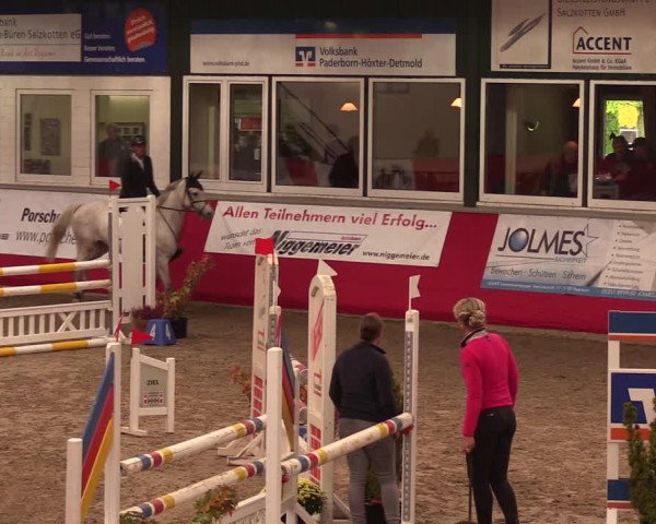 Salzkottener Pferdefestival 2018
