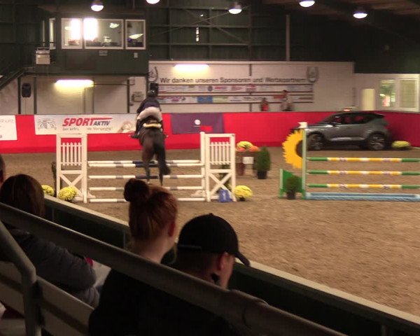 Salzkottener Pferdefestival 2018