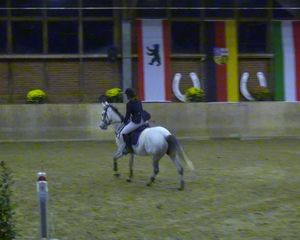 Reitturnier Köln-Leverkusen 2018