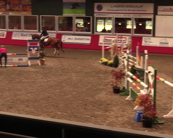 Salzkottener Pferdefestival 2018