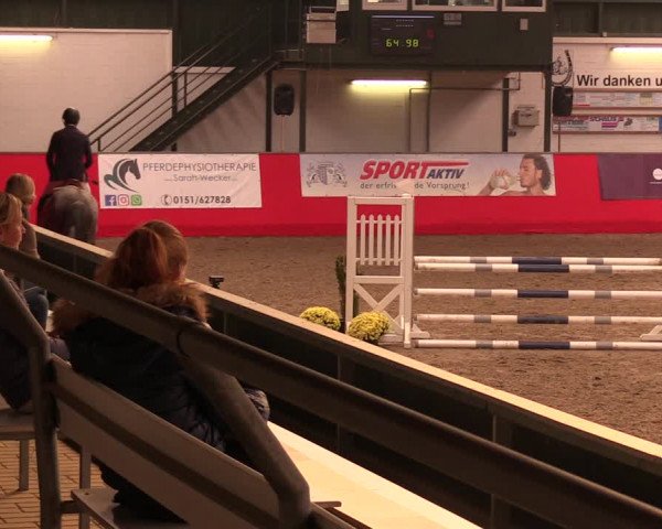 Salzkottener Pferdefestival 2018