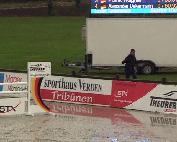 Reitturnier Westergellersen 2021