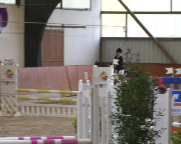 Reitturnier Viernheim 2018