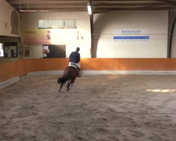 Reitturnier Viernheim 2018