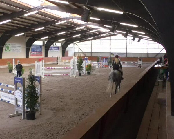 Reitturnier Viernheim 2018